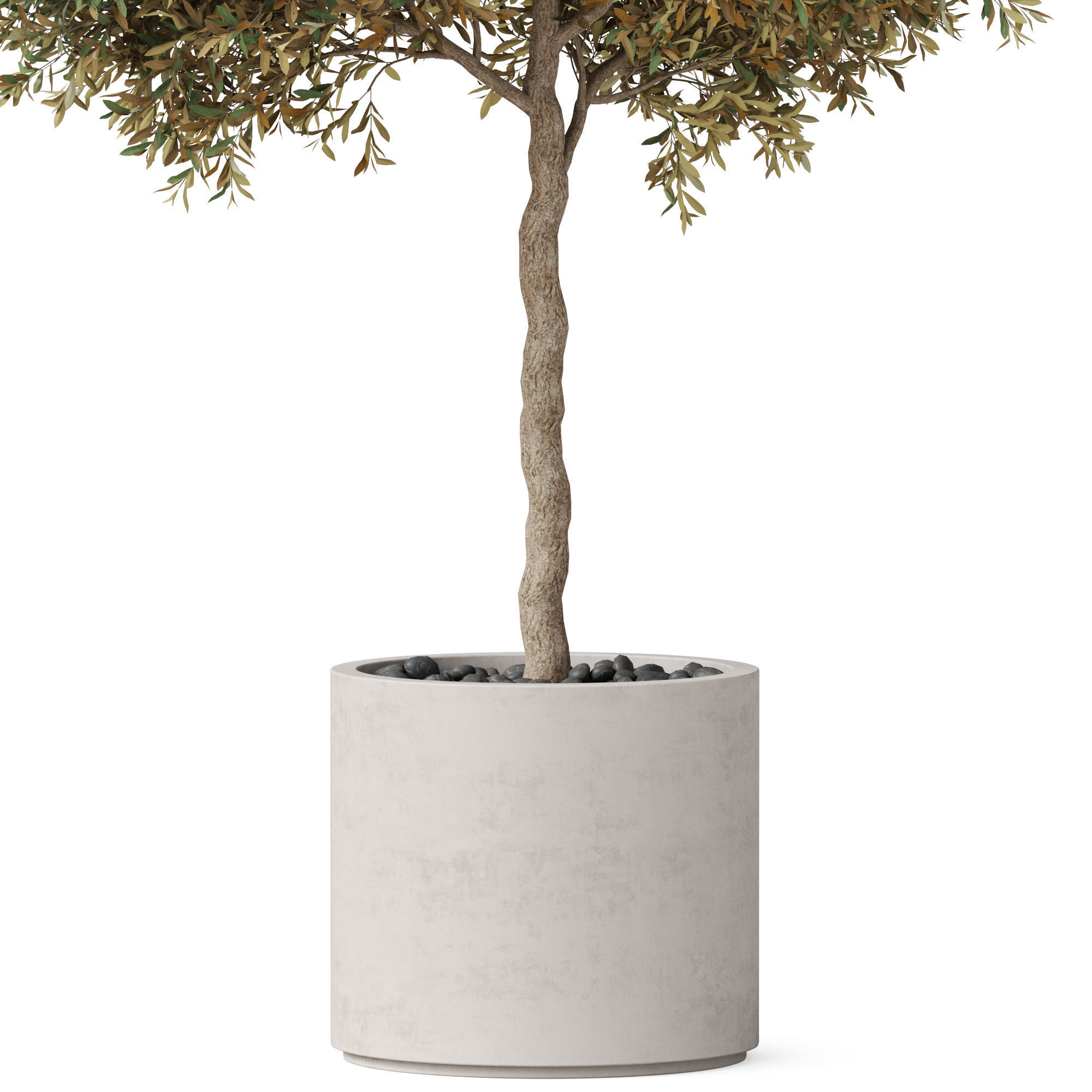 Plants collection 808 3D model_2