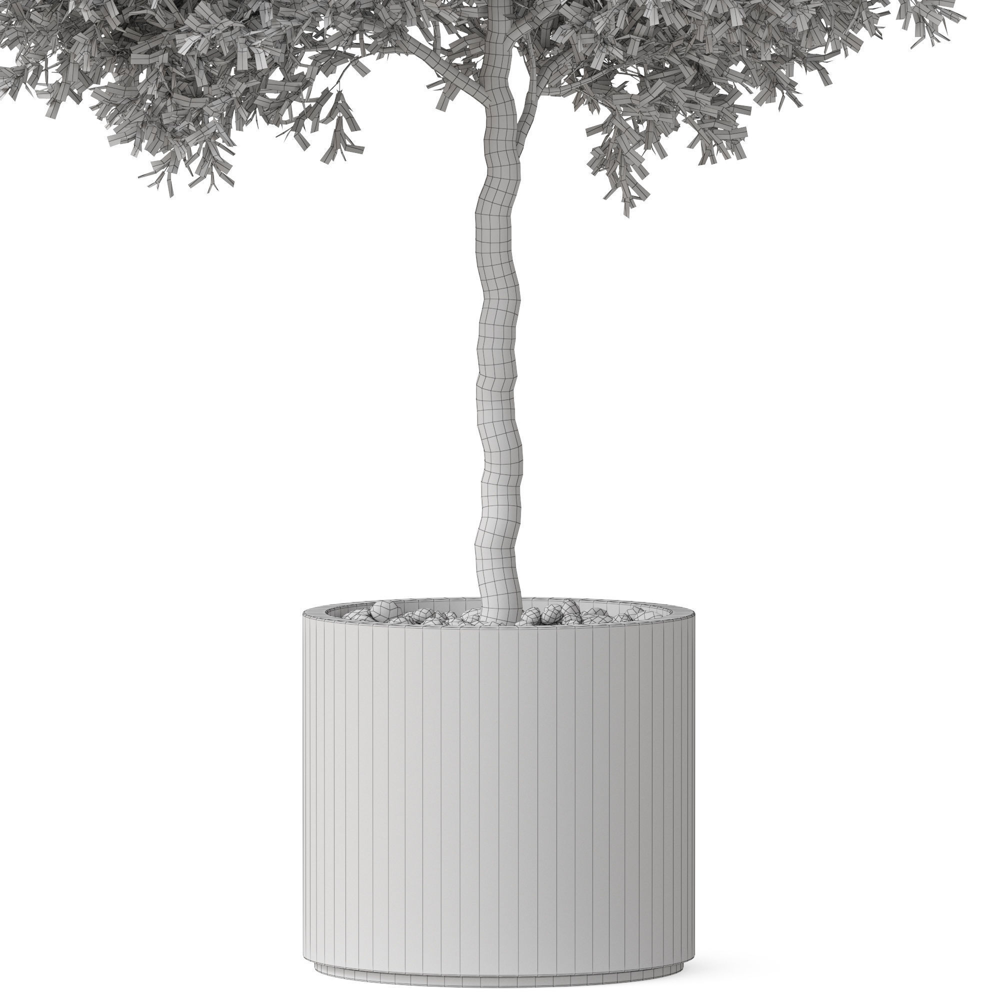 Plants collection 808 3D model_5