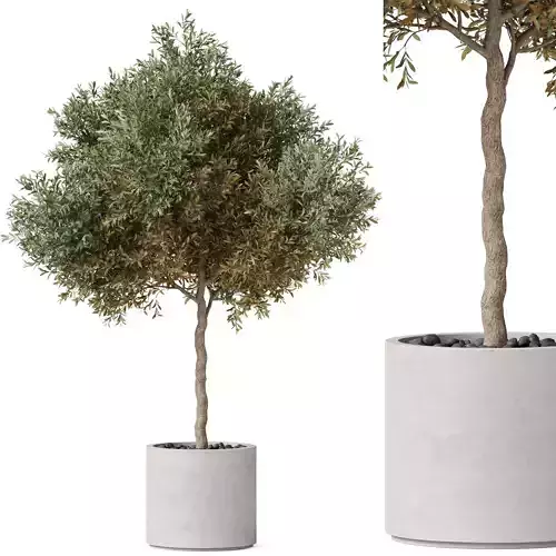 Plants collection 808 3D model