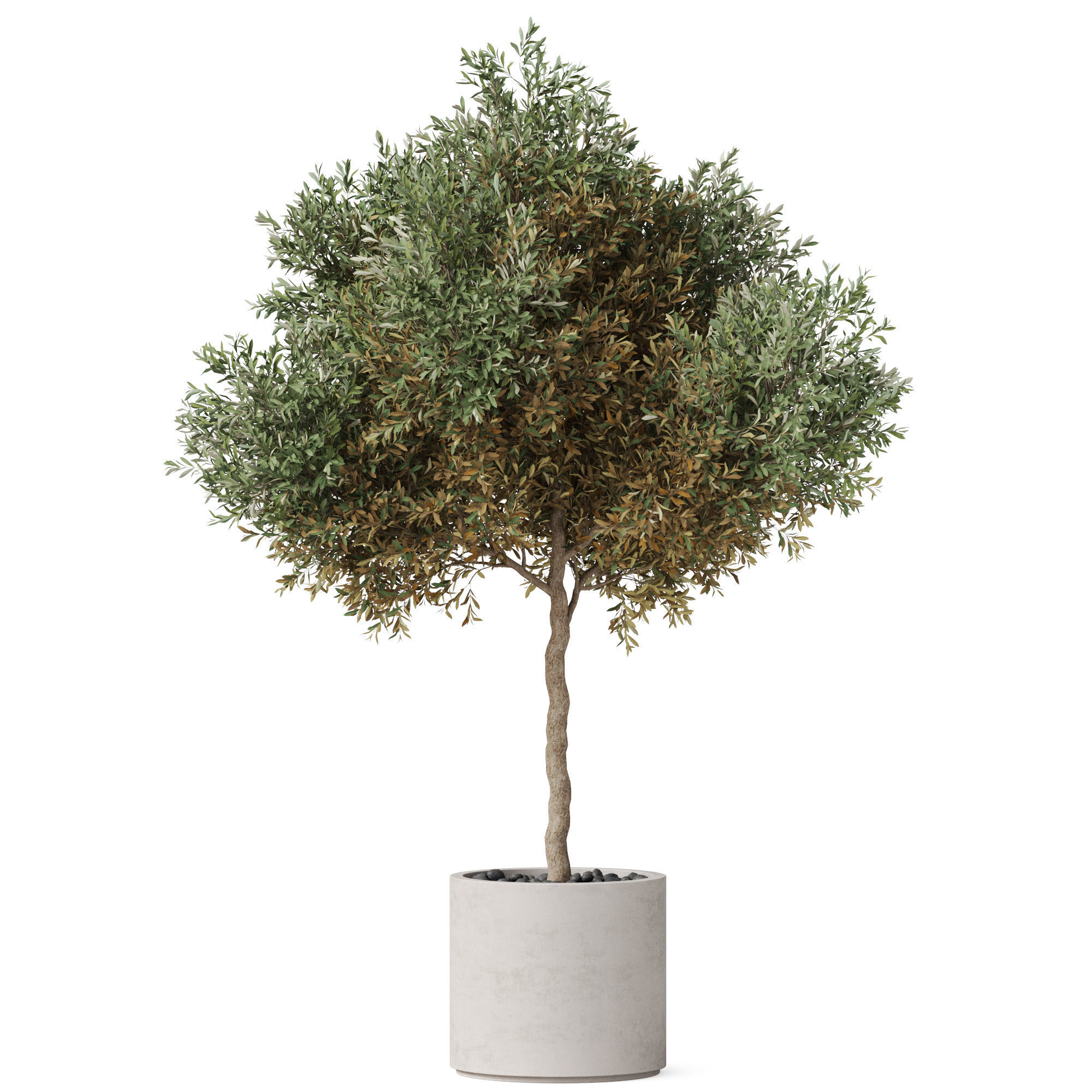 Plants collection 808 3D model_1