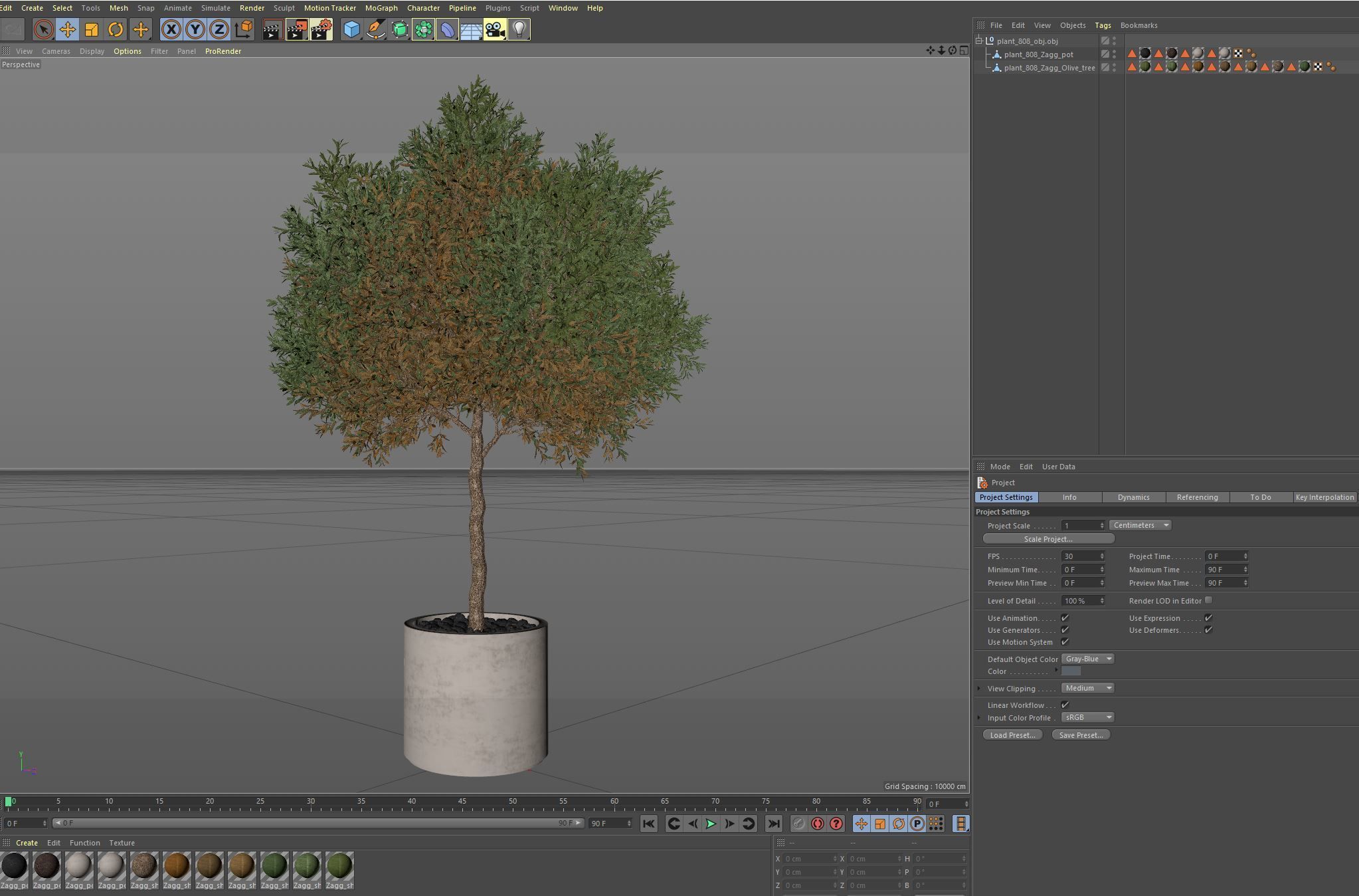 Plants collection 808 3D model_7
