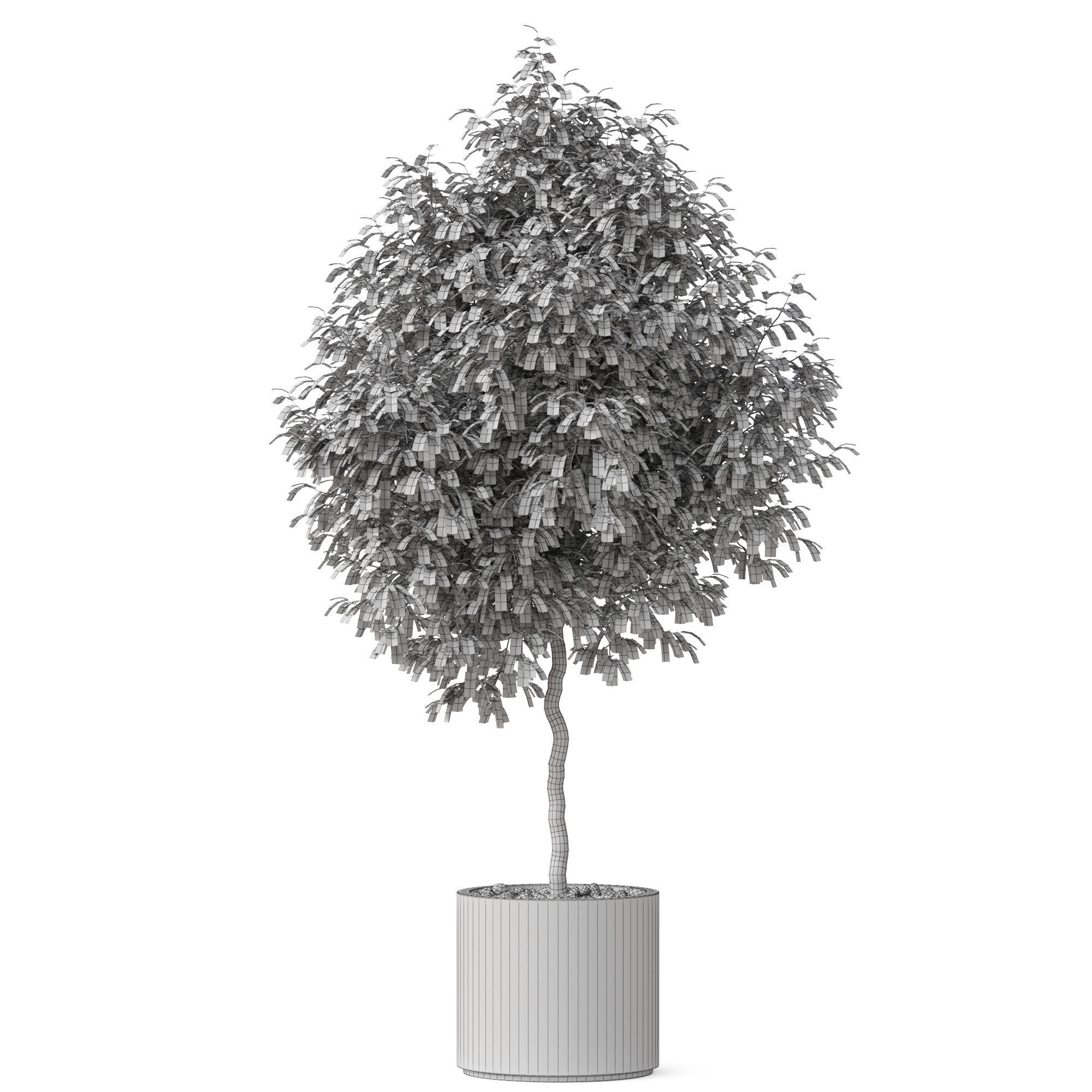 Plants collection 809 3D model_4