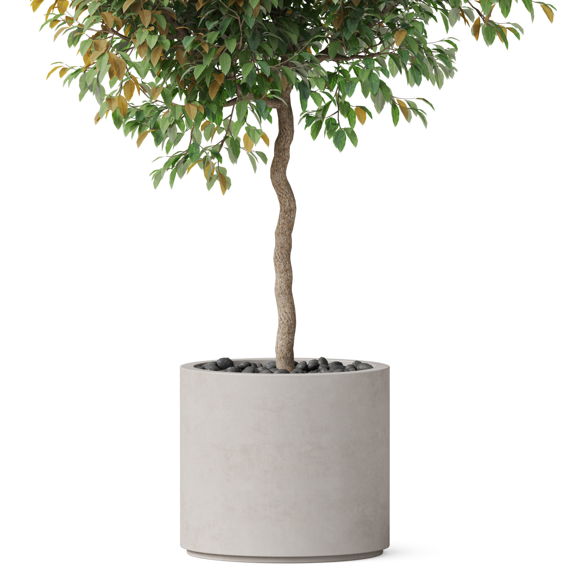 Plants collection 809 3D model_2