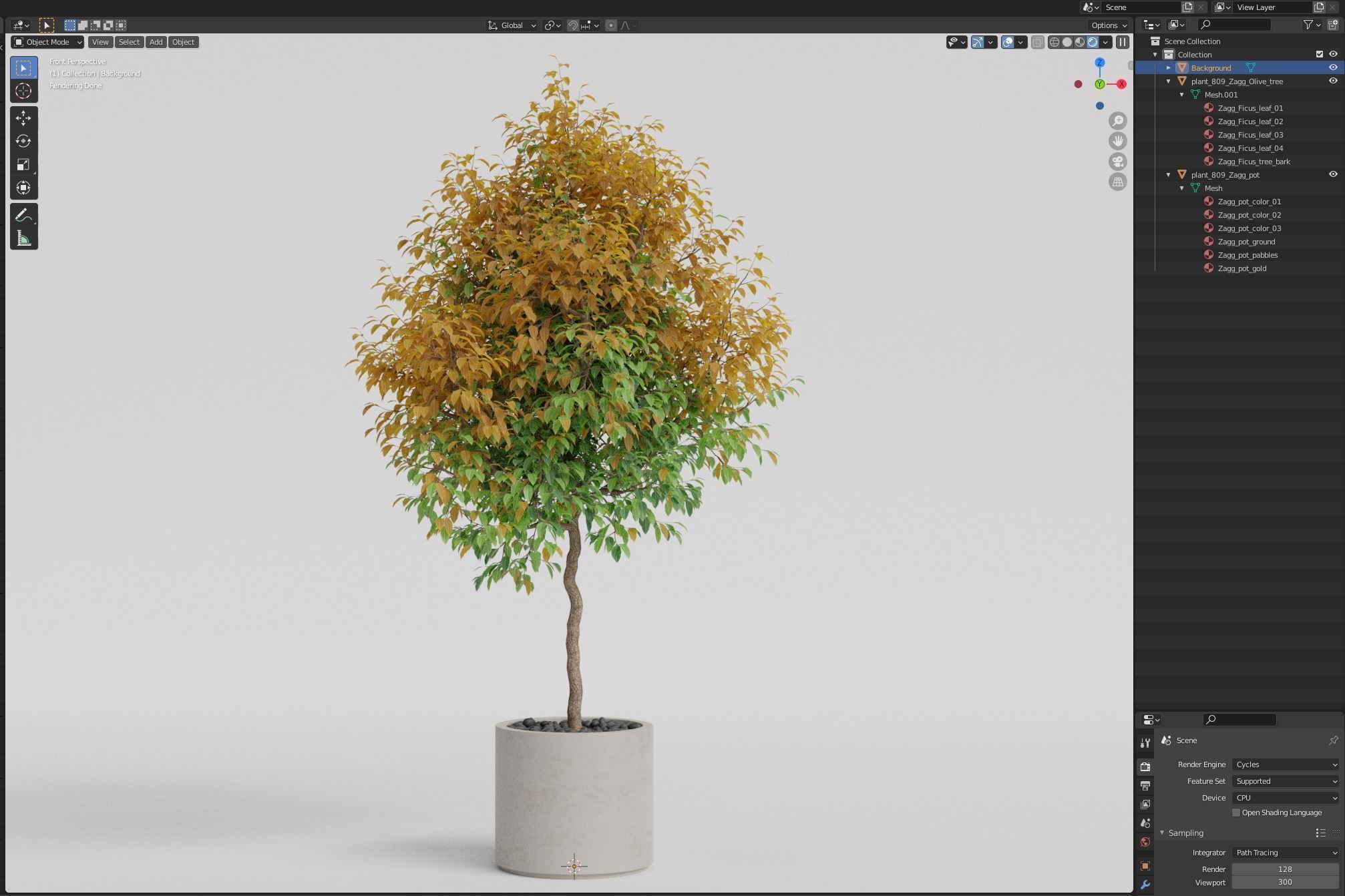 Plants collection 809 3D model_6