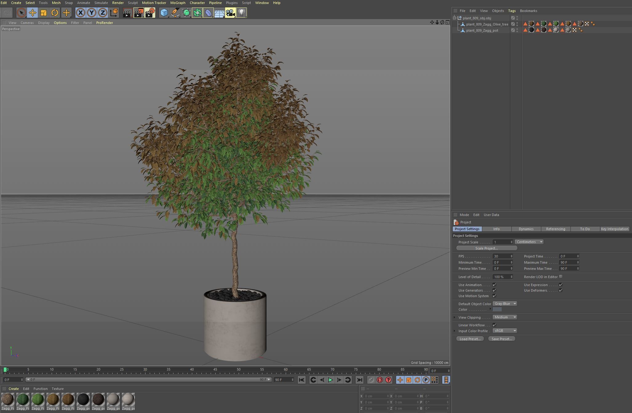 Plants collection 809 3D model_7
