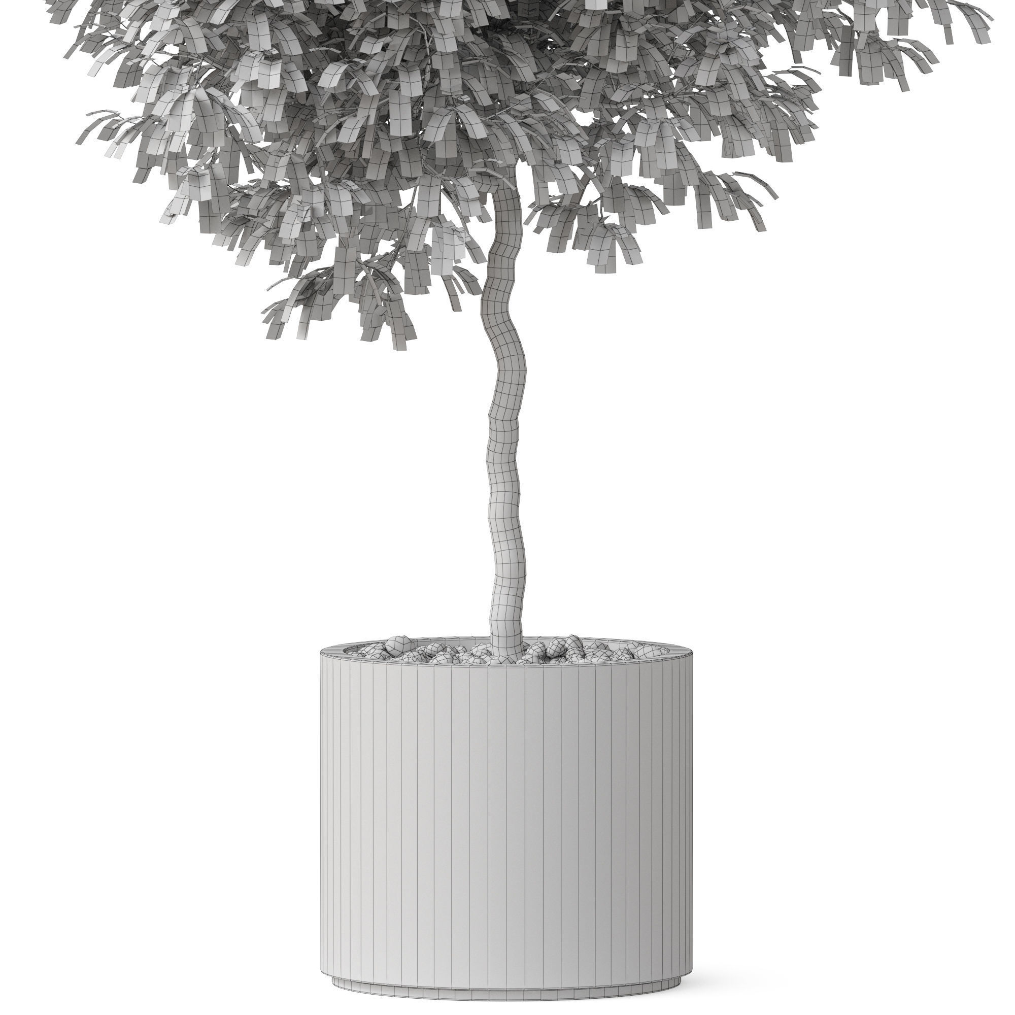 Plants collection 809 3D model_5