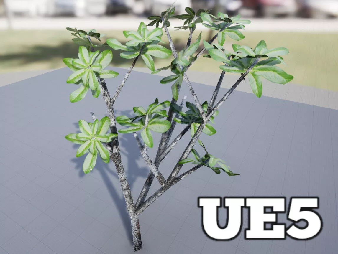 Plumeria Rubra Frangipani Jasmim manga PBR Lowpoly 3d model Low-poly 3D model