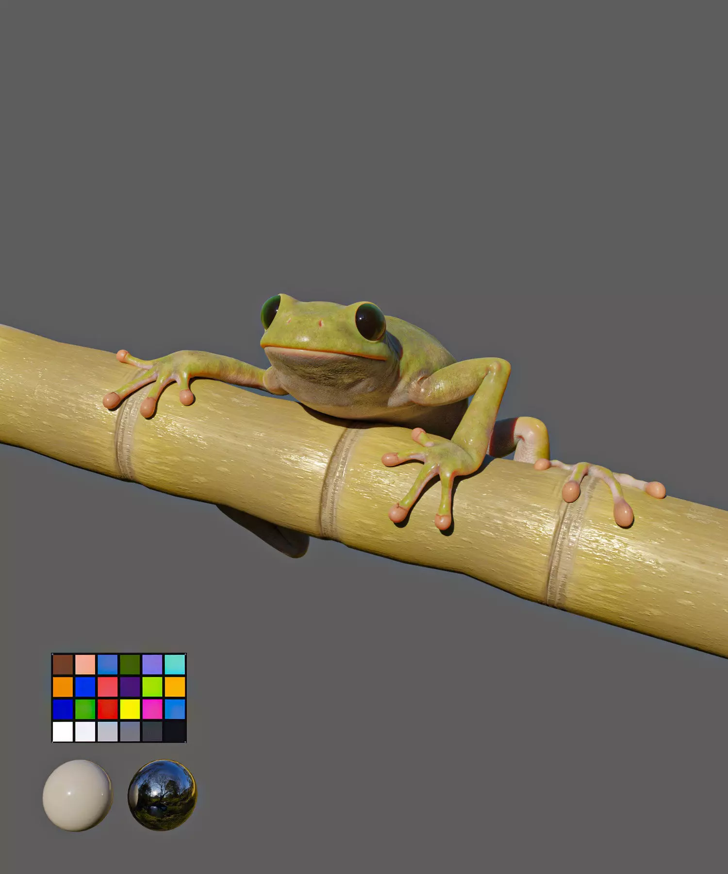Game Ready Frog on bamboo stick Low-poly 3D model_0