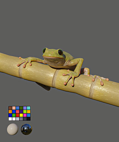 Game Ready Frog on bamboo stick Low-poly 3D model