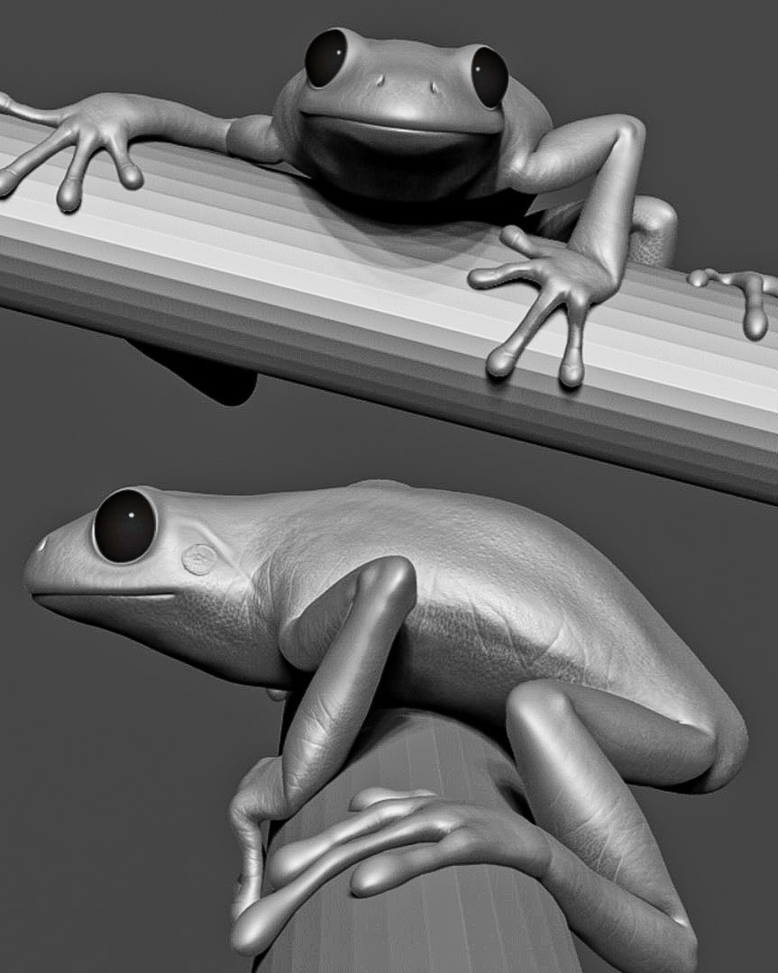 Game Ready Frog on bamboo stick Low-poly 3D model_6