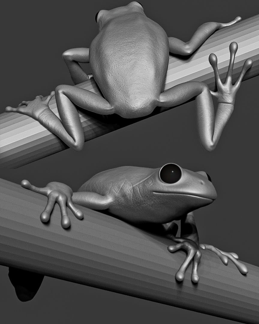 Game Ready Frog on bamboo stick Low-poly 3D model_5