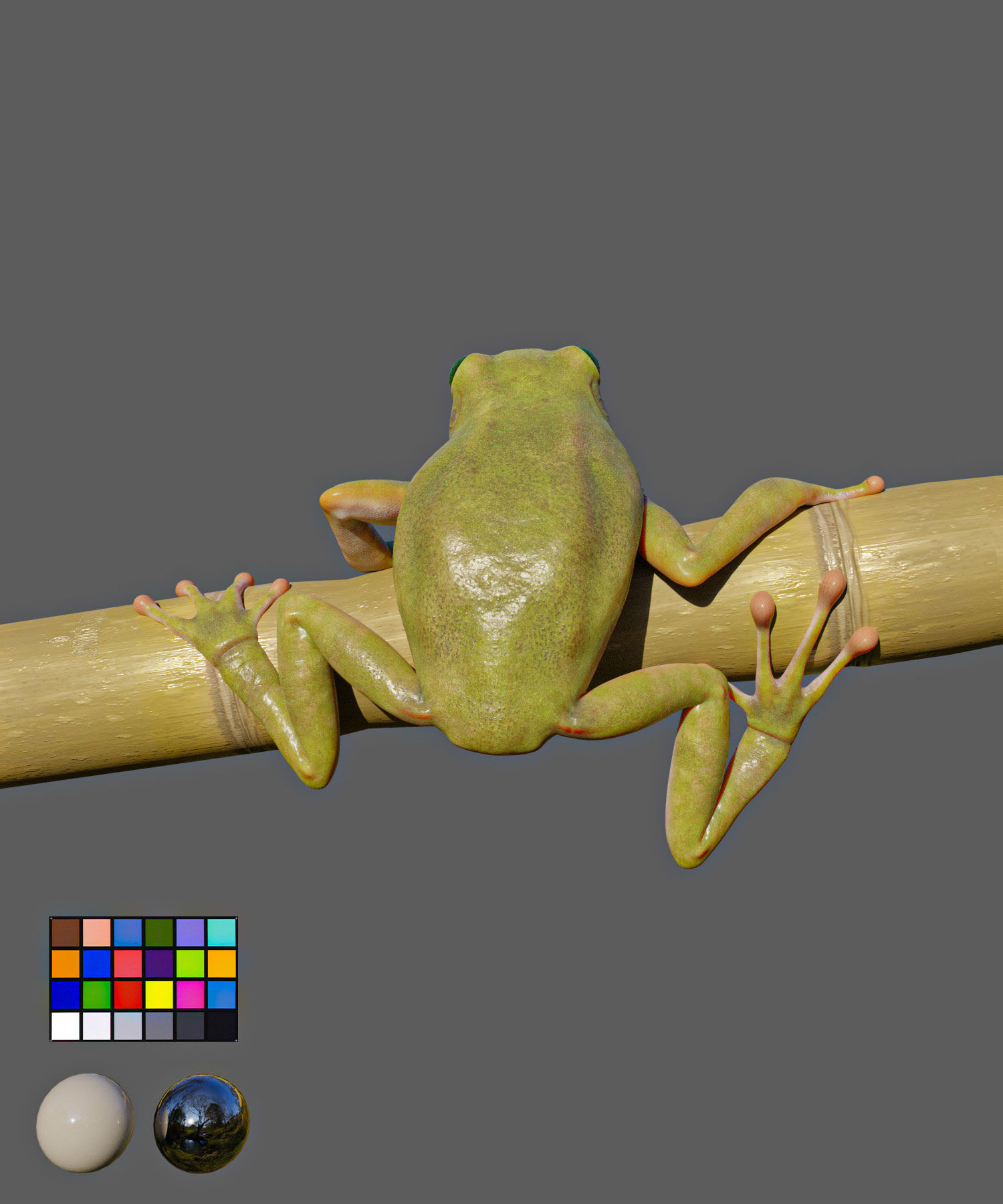 Game Ready Frog on bamboo stick Low-poly 3D model_2