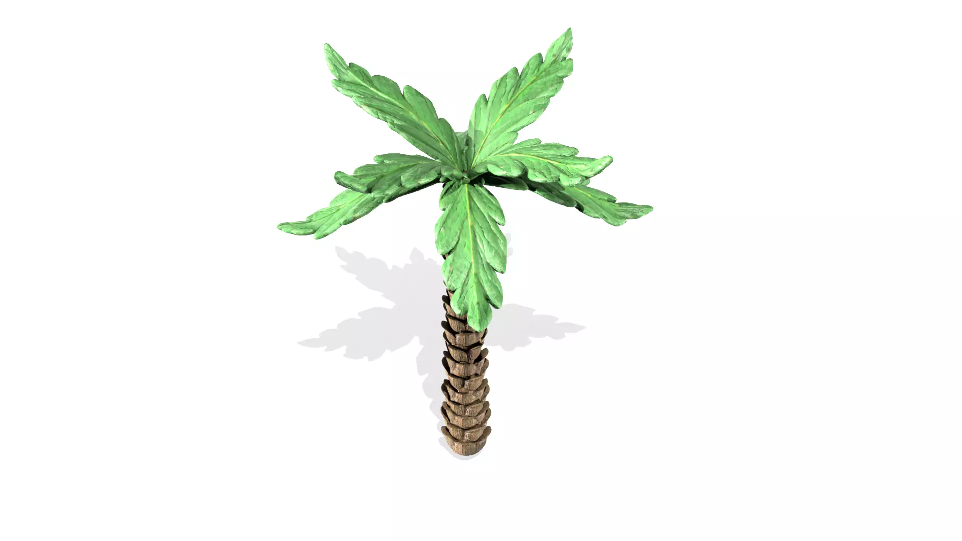 palm tree 3D model