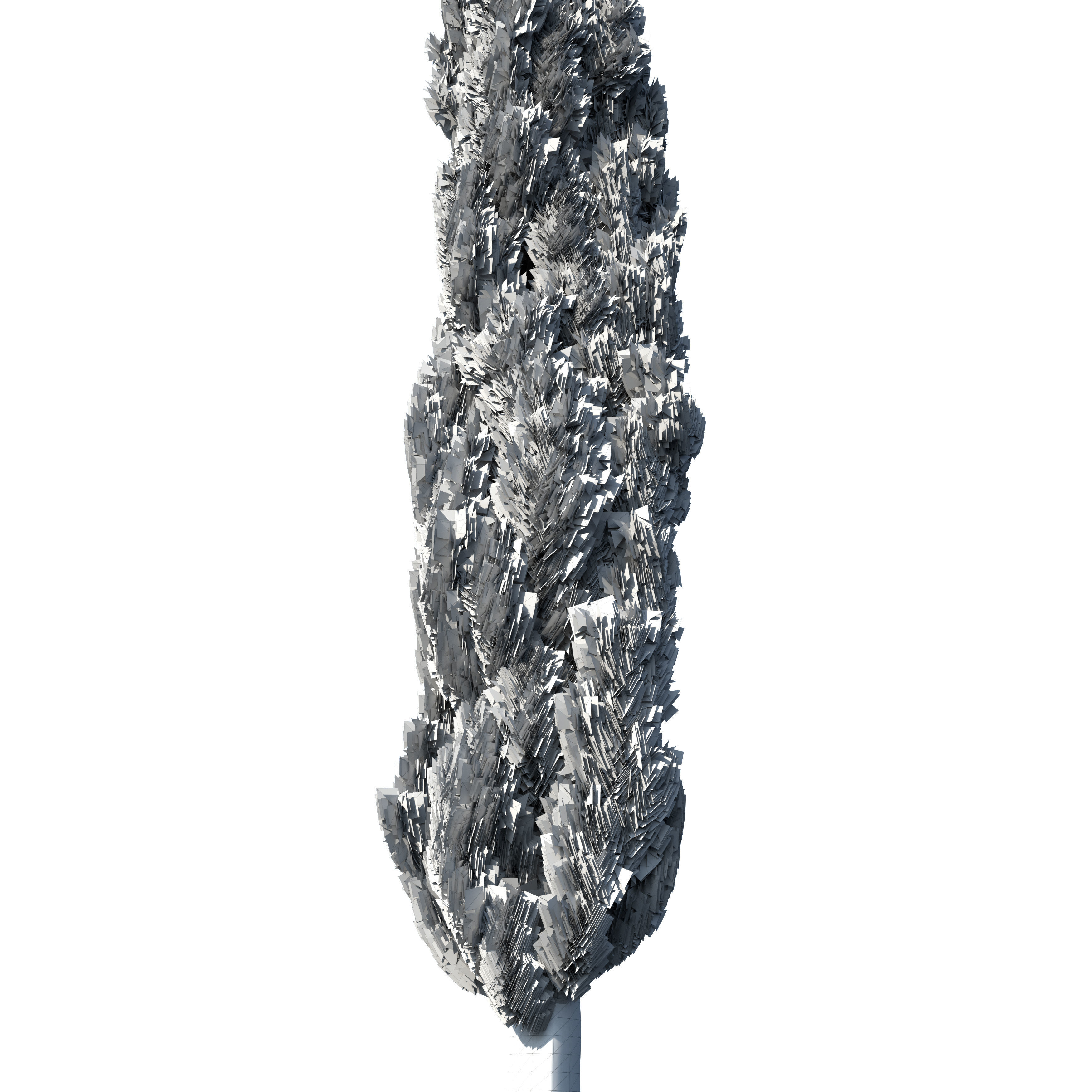 Cypress Mediterranean 3D model 3D model_15