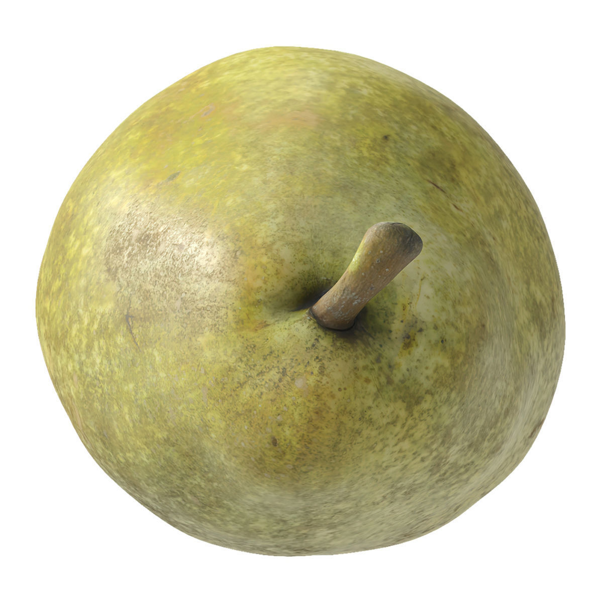 Kieffer Pear 3D model_7