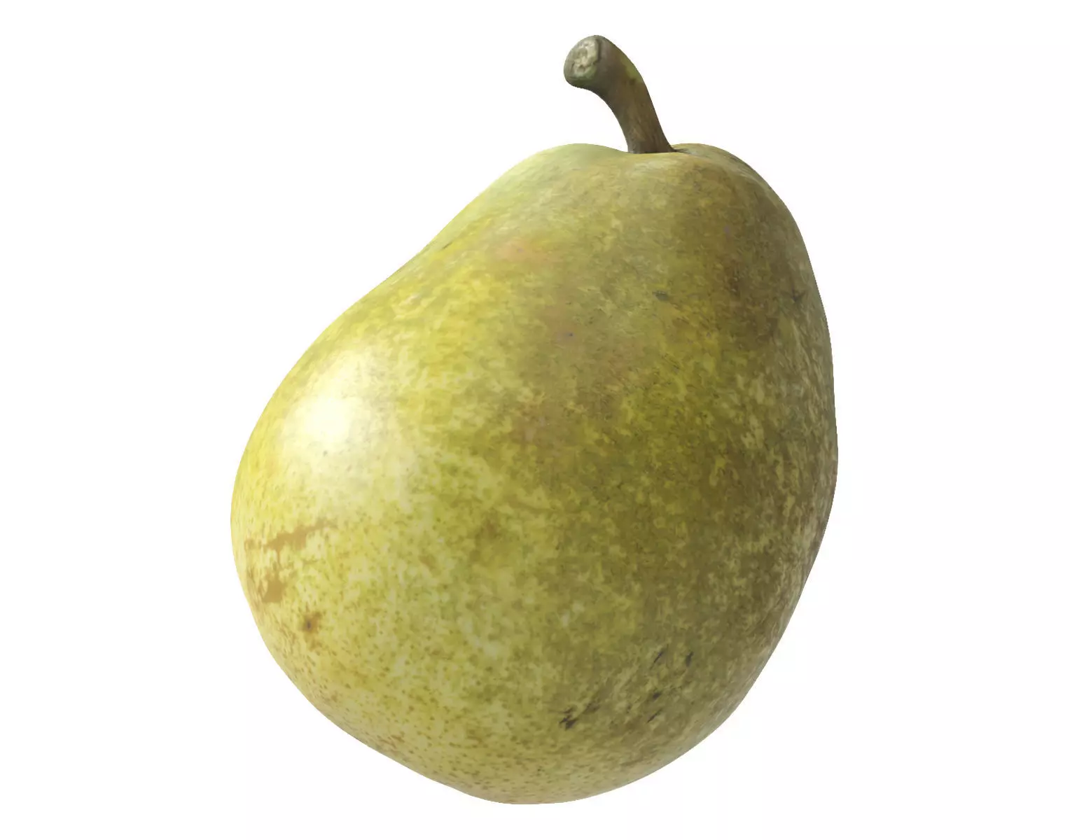 Kieffer Pear 3D model_0