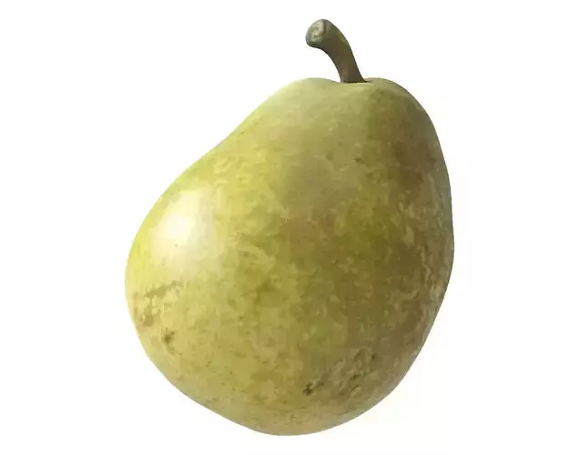 Kieffer Pear 3D model