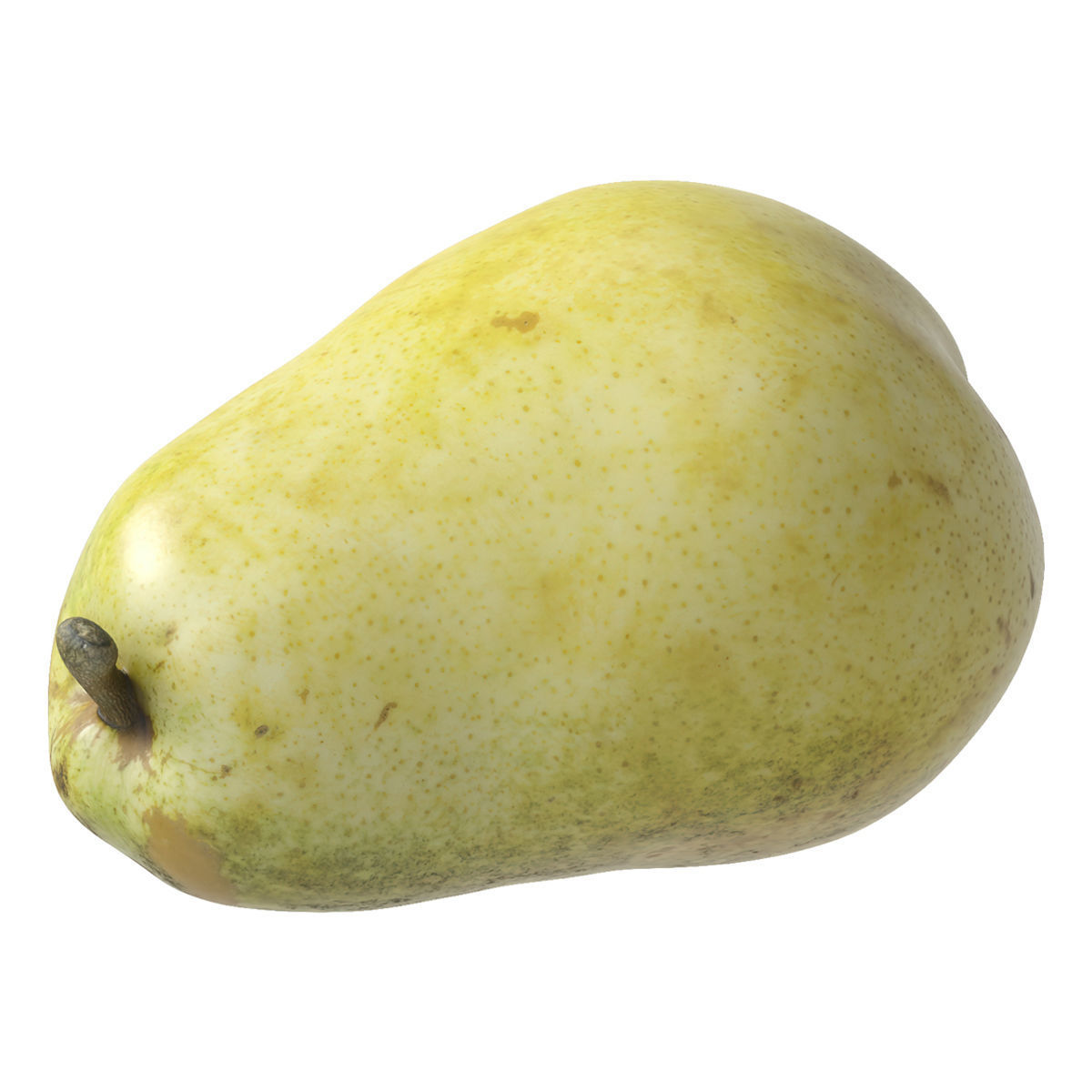Kieffer Pear 3D model_2