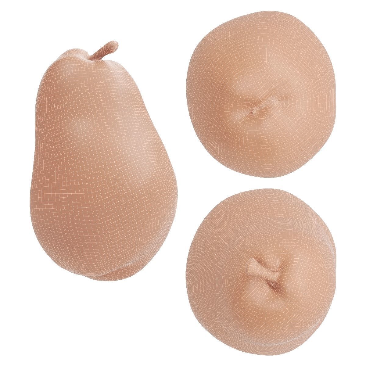 Kieffer Pear 3D model_9