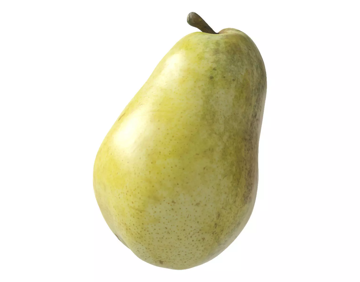 Kieffer Pear 3D model_0