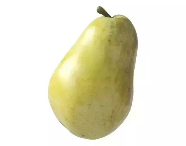 Kieffer Pear 3D model