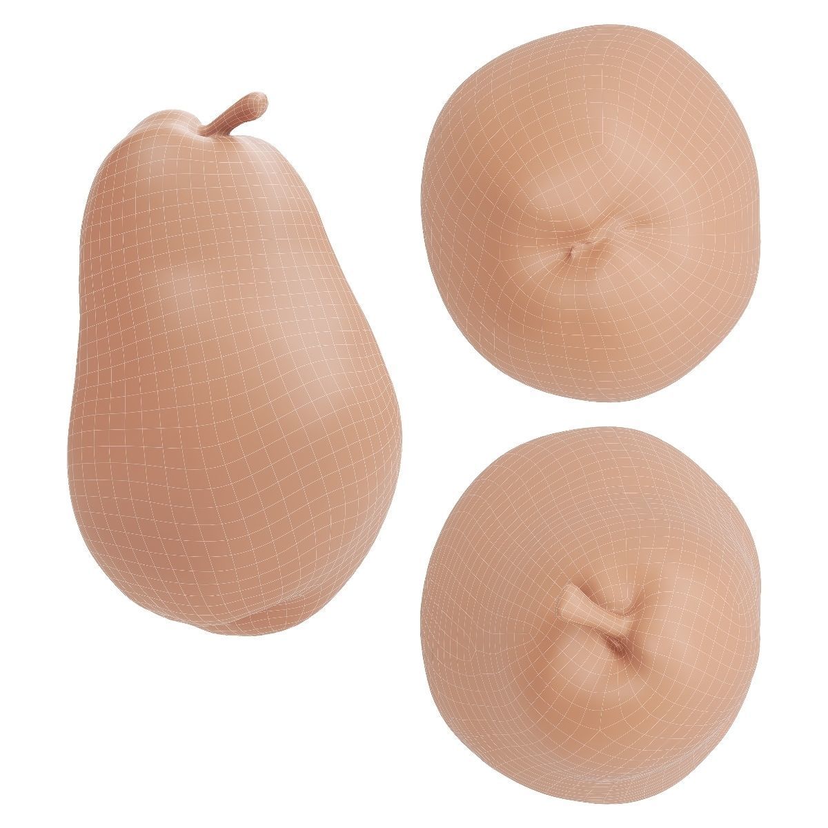 Kieffer Pear 3D model_8