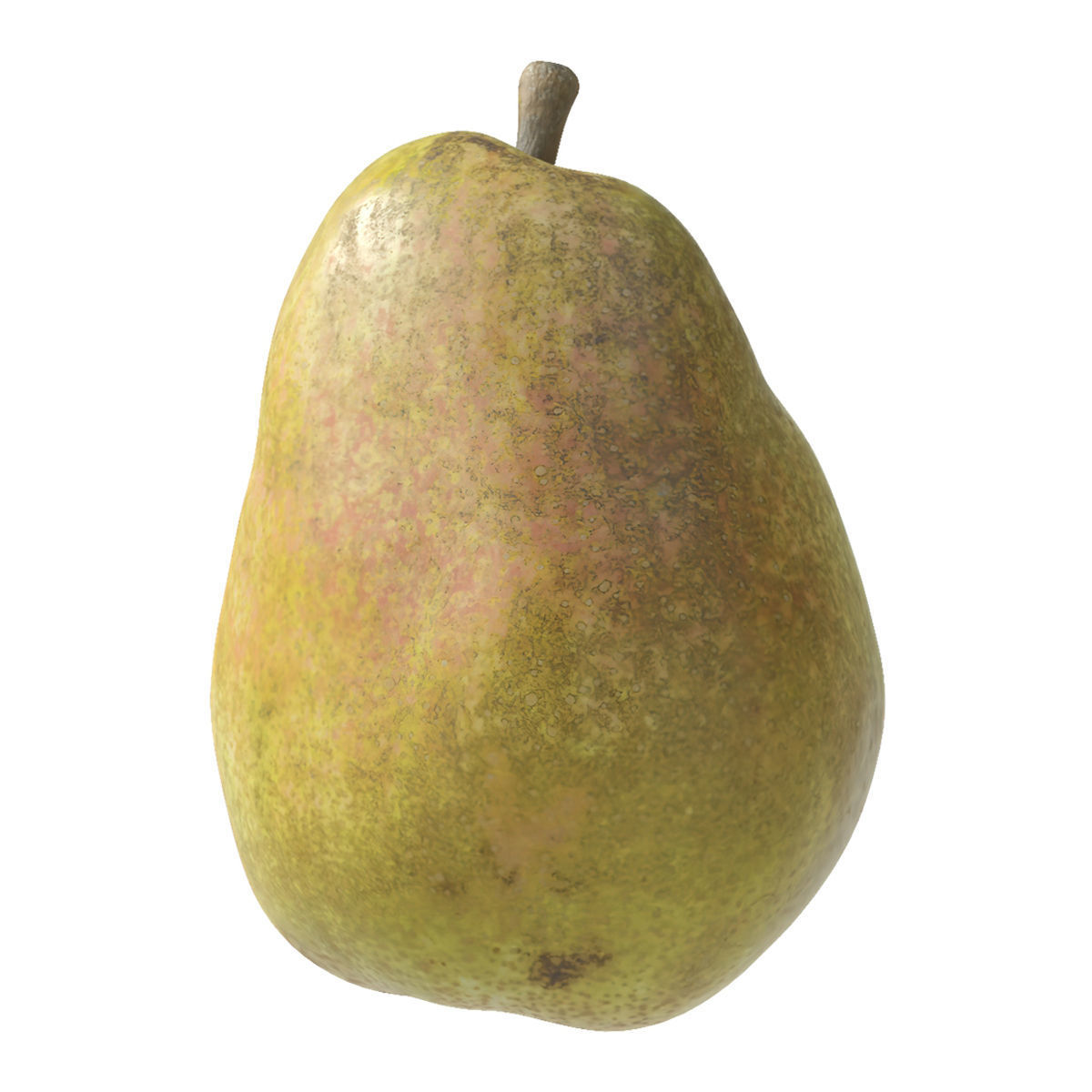 Kieffer Pear 3D model_5