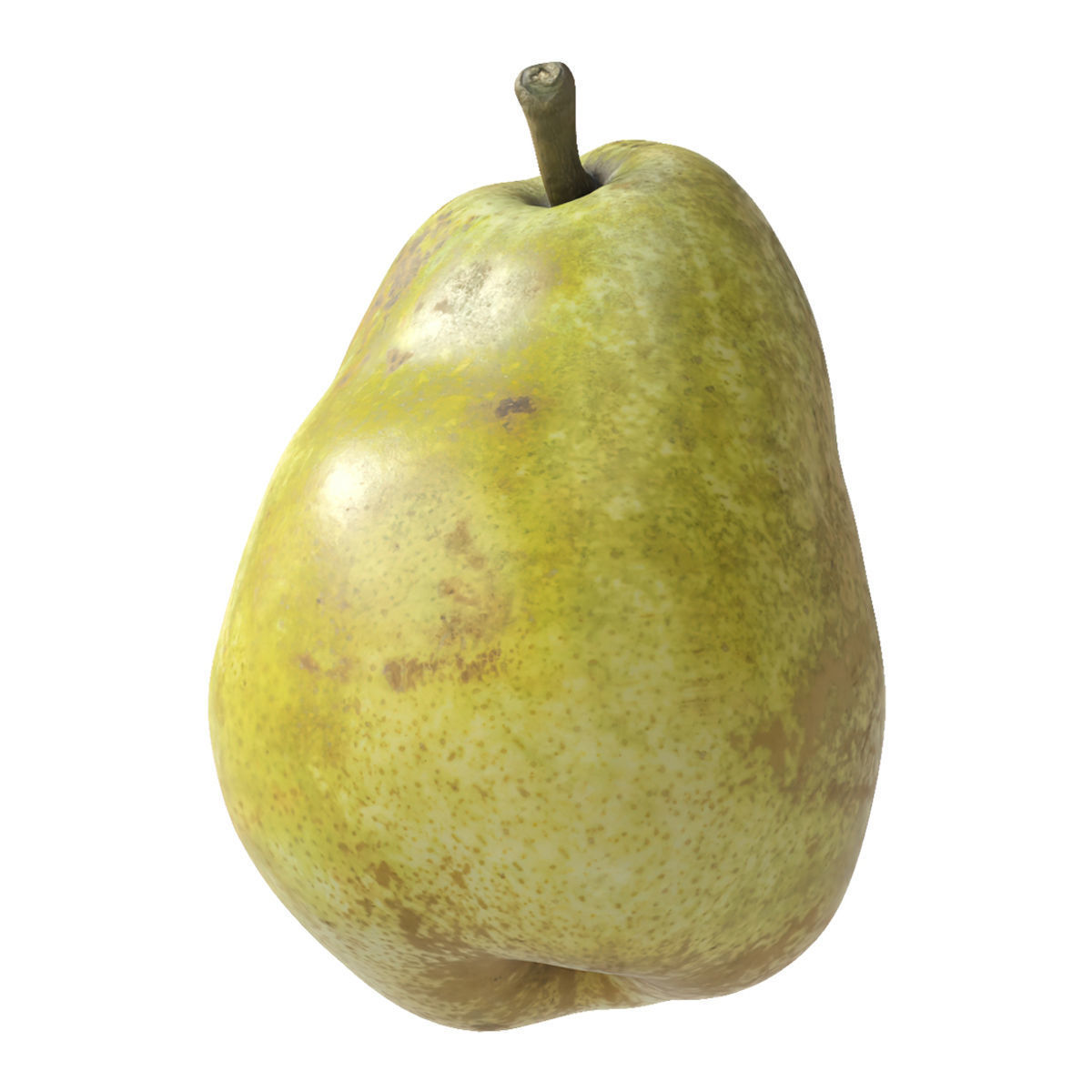 Kieffer Pear 3D model_4