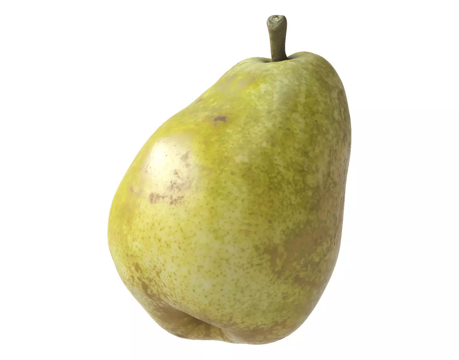Kieffer Pear 3D model_0