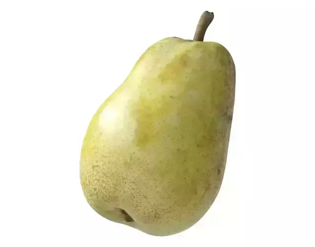 Kieffer Pear 3D model