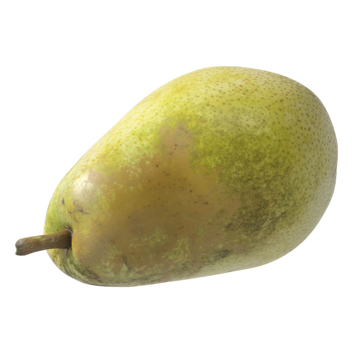 Kieffer Pear 3D model_2