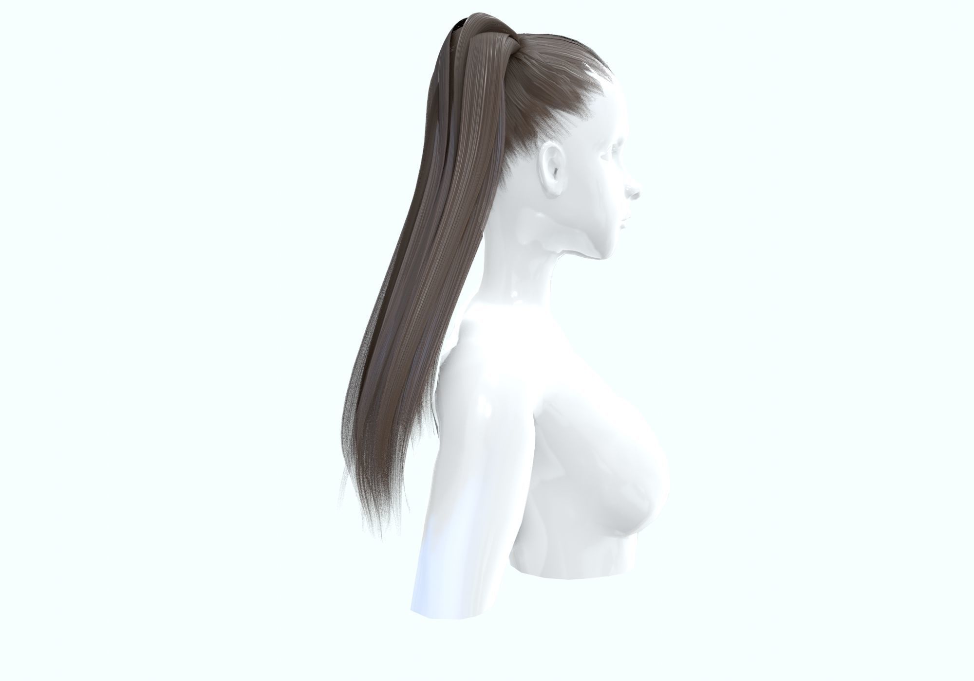Two Ponytails Hairstyle 3D model_2