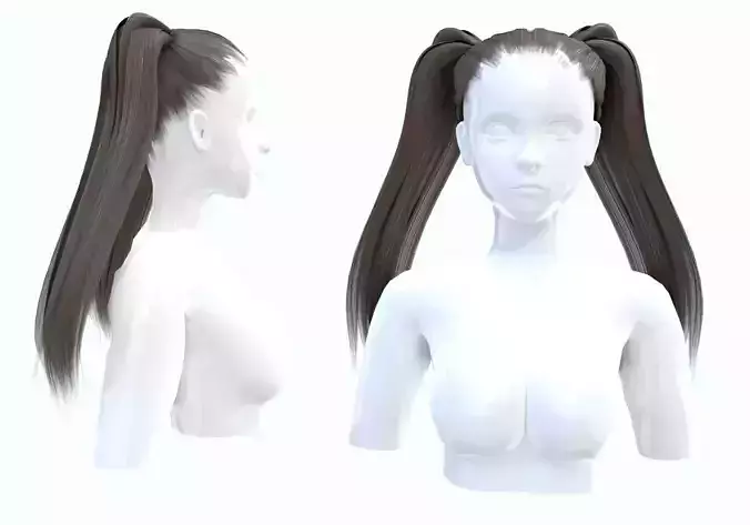 Two Ponytails Hairstyle 