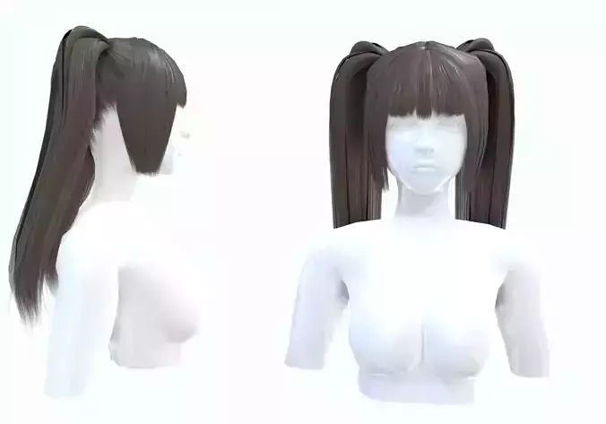 Two Pigtails Hairstyle 