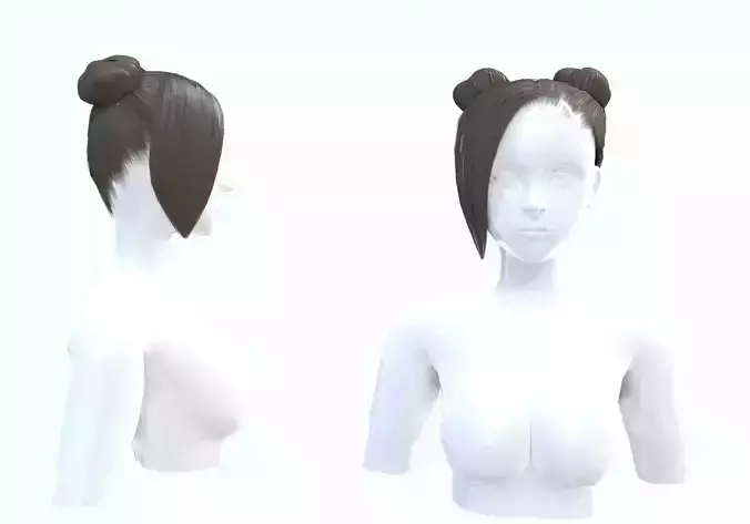Two Bun Hairstyle 