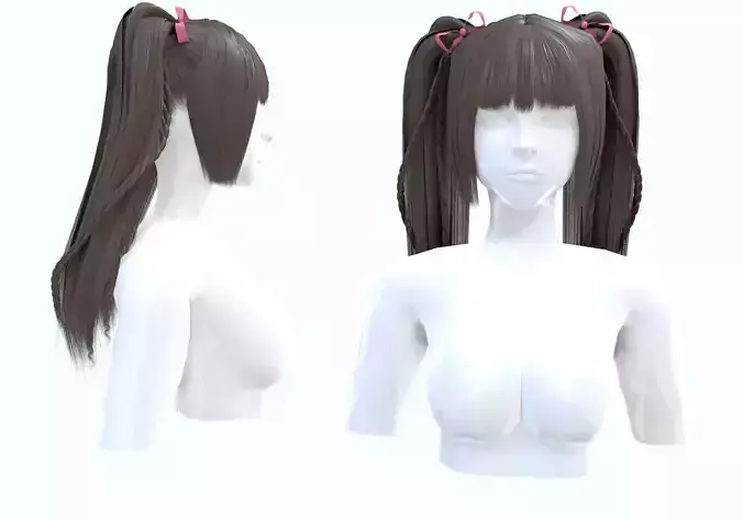 Stylized Pigtails Hairstyle 