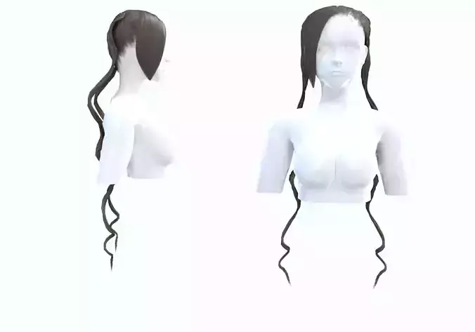 Stylized Long Hairstyle 