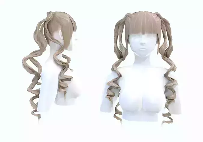 Stylized Curly Hairstyle 