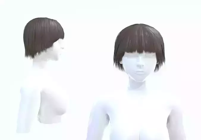 Short Female Hairstyle 