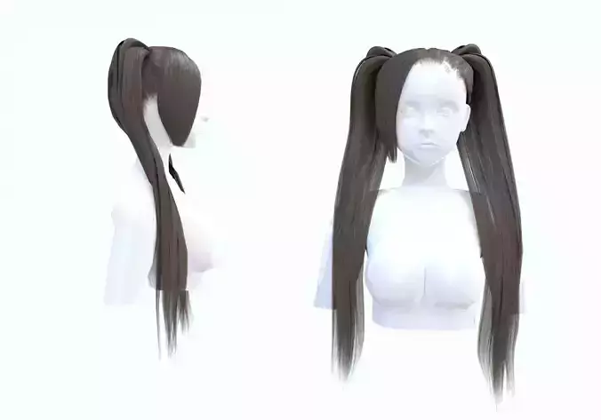 Ponytails Two Hairstyle 