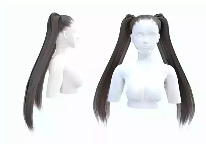 Ponytails Long Hairstyle 