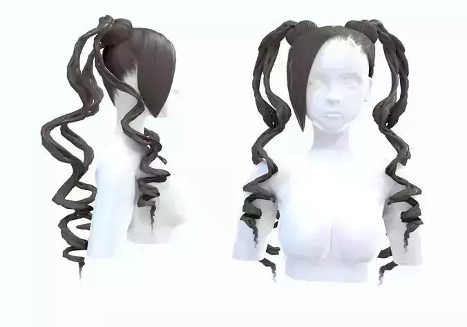 Ponytails Curly Hairstyle 