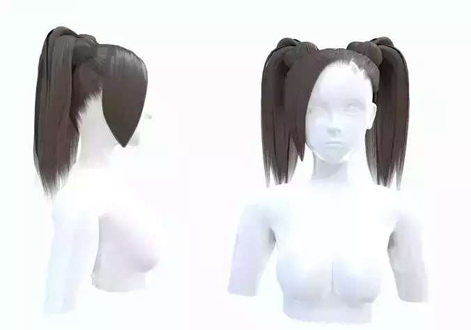 Pigtails Long Hairstyle 