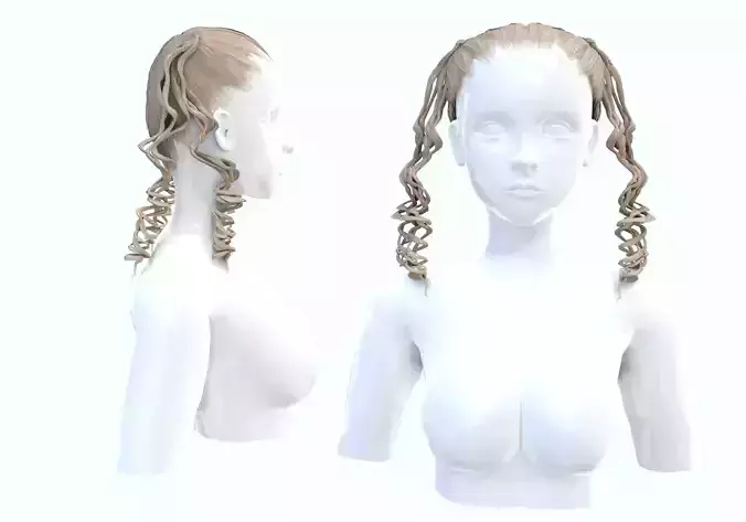 Pigtails Curly Hairstyle 