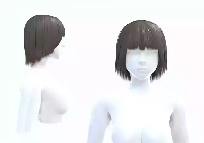 Middle Long Hairstyle 