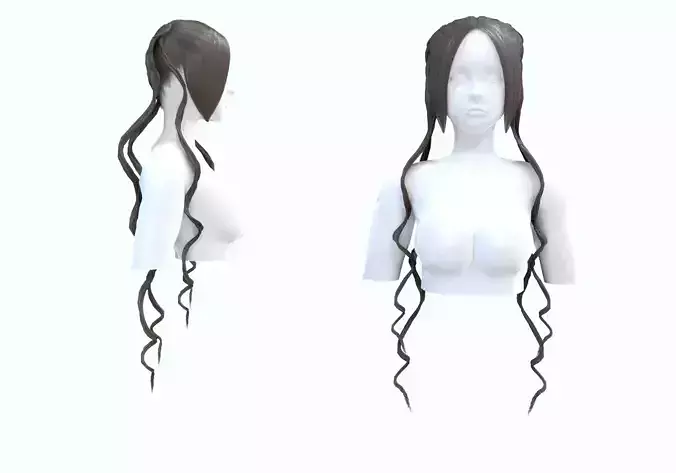 Long Stylized Hairstyle 