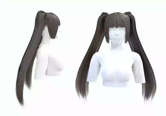 Long Ponytails Hairstyle 