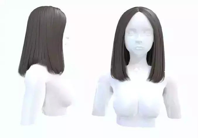 Female Basic Hairstyle 