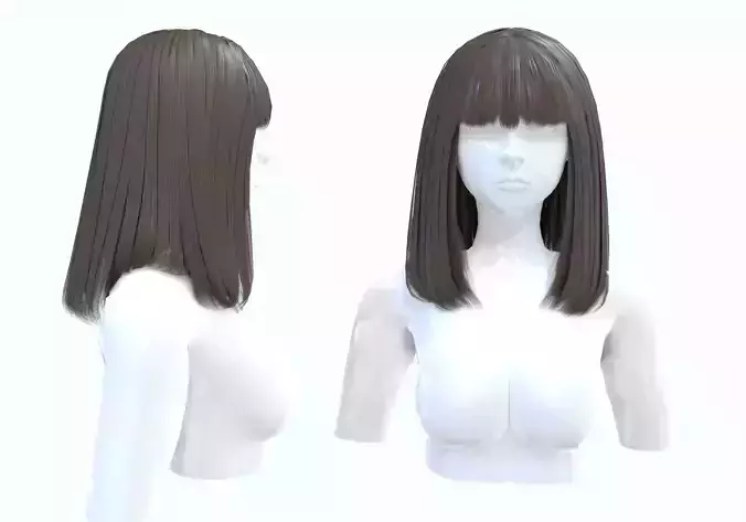 Basic Female Hairstyle 