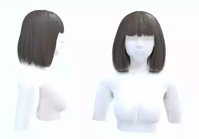 Basic Bob Hairstyle 